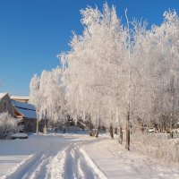 Хорошо когда зима настоящая! :: Андрей Заломленков