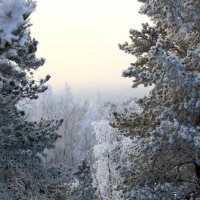 снега :: Евгений Тарасов 