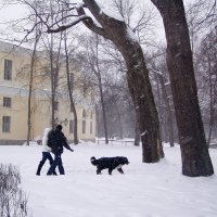 Прогулка в зимнем Павловске :: vadim 
