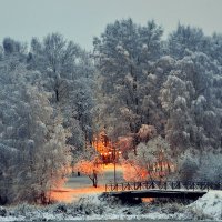 Зима в Подмосковье :: Дмитрий 