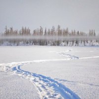 Рыбаки накурили..:)) :: Леонид Балатский