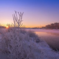 Зимний рассвет :: Vladimbormotov 