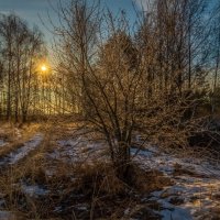 Морозное утро декабря # 3 :: Андрей Дворников