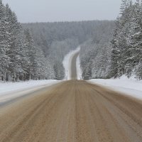 Зимняя дорога :: tamara kremleva