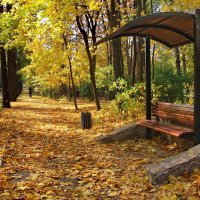 Осень в парке Сокольники :: Влад Чуев