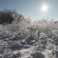 Белое солнце декабря.. :: Андрей Заломленков
