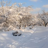 Зимний пейзаж :: Серый 