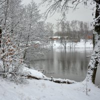 Скоро зима :: Леонид Иванчук