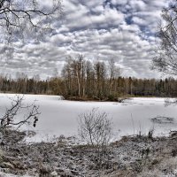 Зима в Алмазово. :: Сергей Дружаев