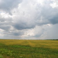 Степь Донская. :: Виктор 