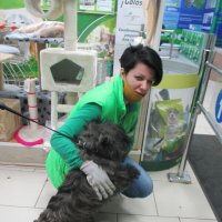 Коллега с собакой. :: Зинаида 
