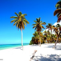 Остров  Саона (Доминиканская республика) :: Сальвадор Мелендес 
