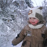 Снежные радости. :: Лариса Исаева