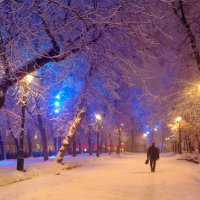 Фото № 55. Снег идет... :: Владимир Захаров