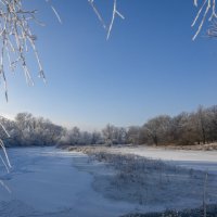 Волжские затоны... г. Прибрежный, Самарская область... :: Наталья Меркулова