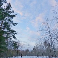 Зимнее небо в ясный денек :: Raduzka (Надежда Веркина)