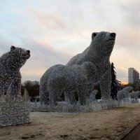 Белые медведи снова в Ростокино. Москва. :: Елен@Ёлочка К.Е.Т.
