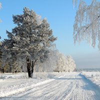 Зима кудесница :: Светлана Медведева 