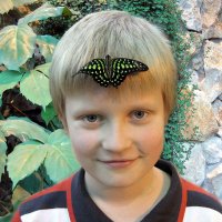 Портрет с бабочкой во лбу :: Татьяна Трофимова 