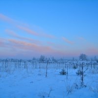 Сиреневый вечер. :: Александр Зуев