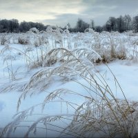 Зима! :: Владимир Шошин