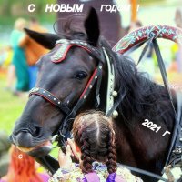 Коня    на     скаку  остановят . :: Игорь   Александрович Куликов
