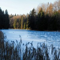 Про озёра. :: Милешкин Владимир Алексеевич 