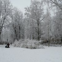 Парк зимой :: Вера Щукина