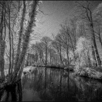 Пейзаж с деревьями и речкой :: Николай Гирш