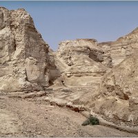 У самого Мертвого моря :: Lmark 