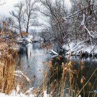 Зима на Северском Донце :: Игорь Сарапулов