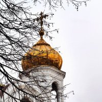 Золотые купола... :: Дмитрий 