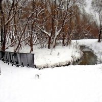 Зимний пейзаж :: Ольга Довженко