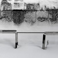 Выпал настоящий снег. :: Саша Милашкин