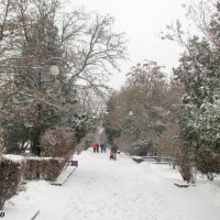 Прогулка в снегопад :: Нина Бутко