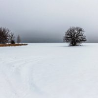 Зима в поле.. :: Юрий Стародубцев