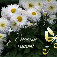 С наступающим Новым годом, дорогие! :: Татьяна Смоляниченко