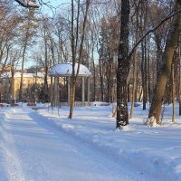Зима 2019. :: Инна Щелокова