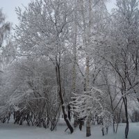 Очарование зимы... :: Анна Суханова