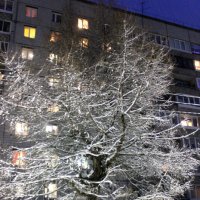 Зима в городе :: Сергей Кочнев