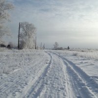 Зимняя красота :: Светлана Рябова-Шатунова
