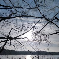 Полдень на озере Белое в декабре :: SergAL 