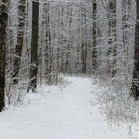 Таким был минувший декабрь (из поездок по области). :: Милешкин Владимир Алексеевич 