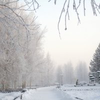 В морозном тумане :: Наталья Пендюк Пендюк