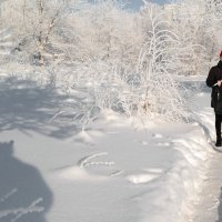 Привет, Красная Шапочка! Что, несёшь вакцину для бабушки? :-) :: Андрей Заломленков