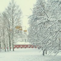 После снегопада. :: Ольга Елисеева