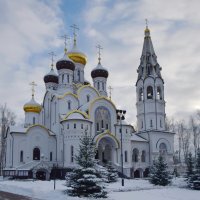 Подмосковье. Храм Святого Благоверного князя Александра Невского в посёлке Княжье Озеро. январь2021 :: Galina Leskova