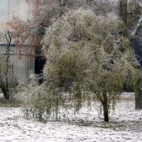 Ледяной дождь :: Роман Савоцкий
