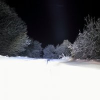Ночью в лесу :: александр пеньков
