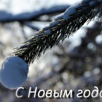 С Новым годом и со светлым праздником Рождества, друзья!!! :: Ольга Русанова (olg-rusanowa2010)